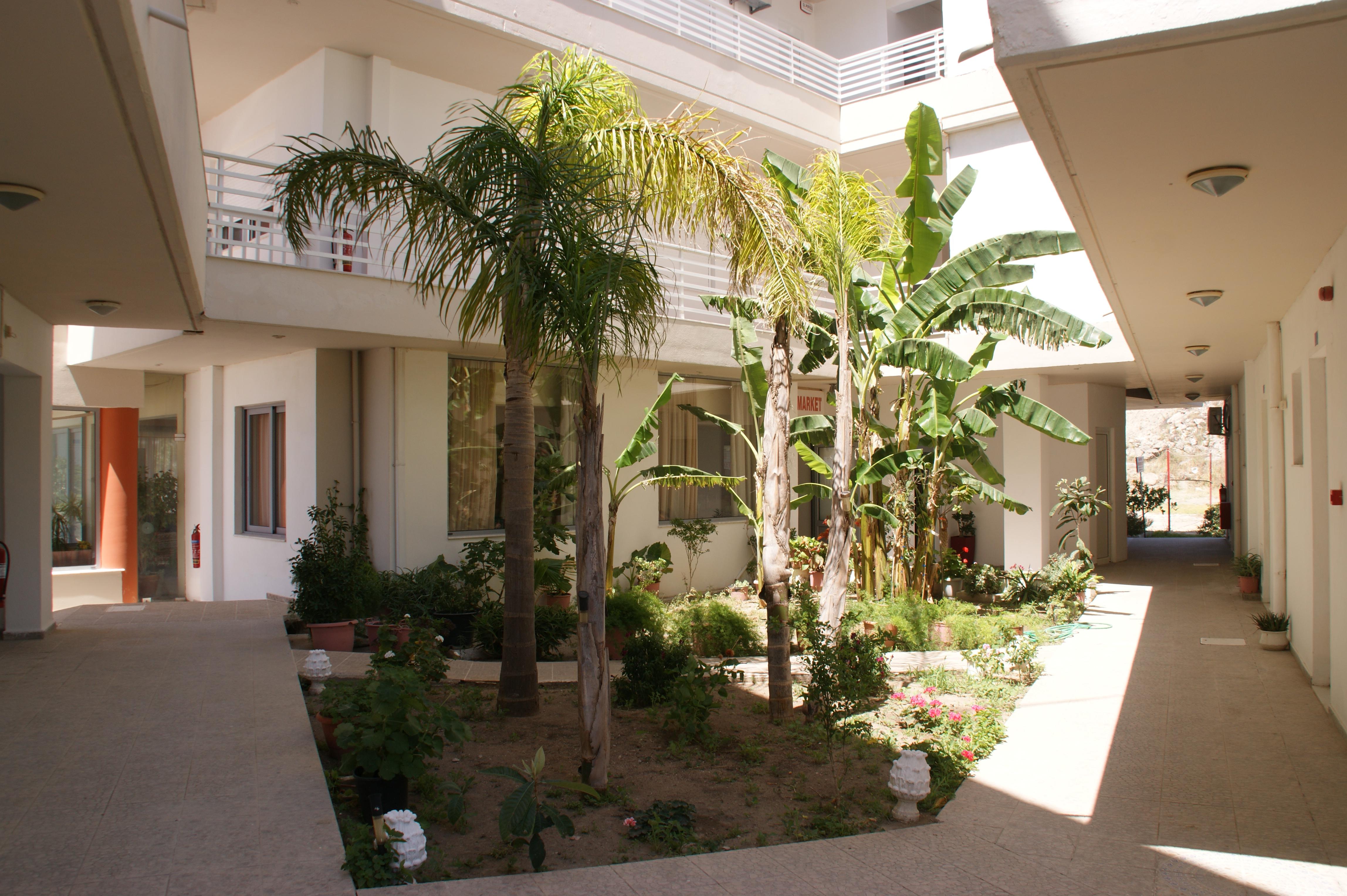 Faliraki Dream Studios & Apartments Eksteriør bilde
